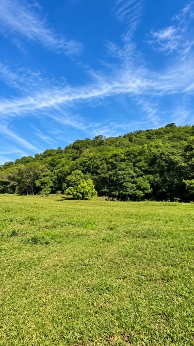 ATYRA, CORDILLERA EN VENTA – HERMOSA QUINTA AL PIE DE UN CERRO