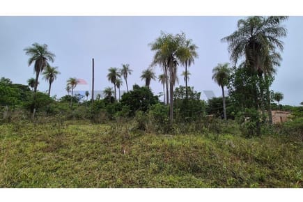 Terreno - Venta - Loma Grande, Cordillera, Paraguay
