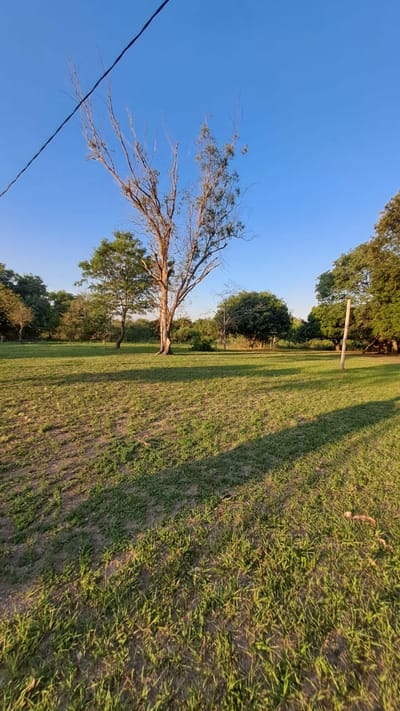 Vendo Terreno de 34 hectáreas en San Bernardino 