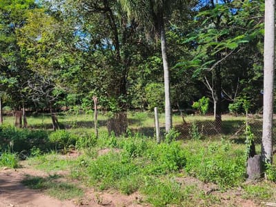 Venta Terreno Esquina en Ciervo Cua, San Bernardino