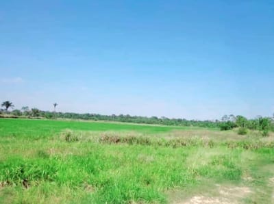 Inmueble # 422 PROPIEDAD EN VENTA POR SANTA ROSA DEL SARA