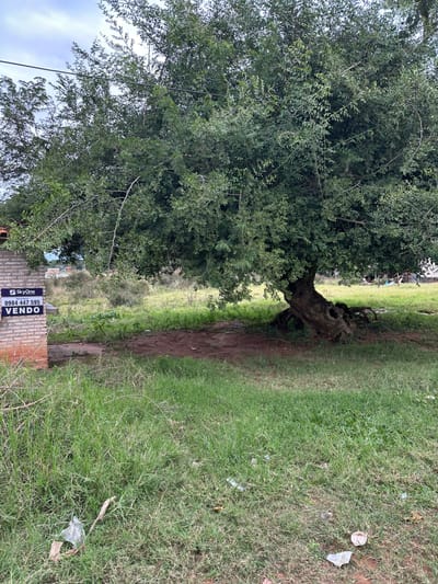 TERRENO DE 1.870 M² EN GUARAMBARÉ | 5 TERRENOS JUNTOS