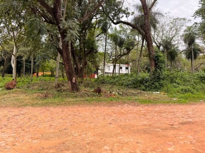 Terreno de 360 m² | Lambaré