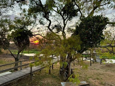 Vendo Estancia En Fuerte Olimpo