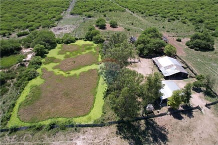 Vendo campo de 3,749 Hectáreas en Presidente Hayes a 740 USD por Ha