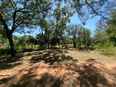 VENDO AMPLIO TERRENO EN SAN BERNARDINO ZONA CIERVO CUA