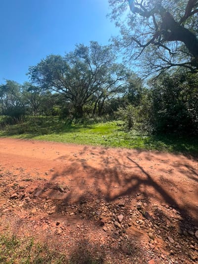 ID 16234 - Vendo terreno en Ypacaraí
