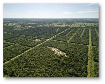 Terreno industrial 10.3 hectáreas en Cruce Esmeralda Filadelfia chaco Paraguayo