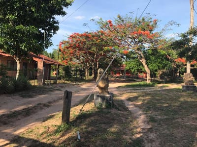 AMPLIOS TERRENOS EN VENTA