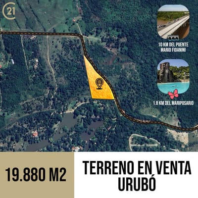 Urubo 2 Hectáreas En Venta A 12 Min Del Puente - Precio De Venta Rápida