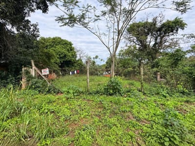 VENDO TERRENO EN TARUMANDY LUQUE