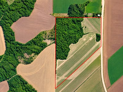 EN VENTA CAMPO EN CAPITAN MEZA ITAPUA - 55 HECTAREAS