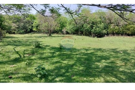 Vendo Estancia Ganadera de 65 Hectáreas es Isla Pucu