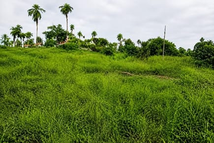 Terreno-venta-capiata Compañia  Cañada Central