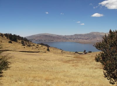 Venta terreno Puno 8 hectáreas a 15 minutos centro Puno y vista al Lago Titicaca