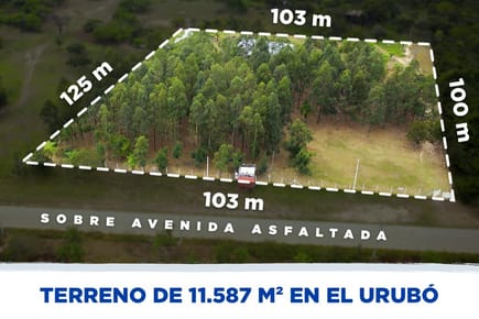 ATENCION INVERSIONISTA TERRENO EN ALQUILER EN EL URUBO