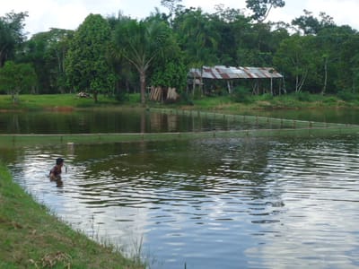 Venta de terreno de 545.5 ha en Carretera Iquitos – Nauta