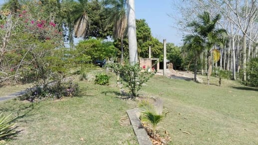 B.R. vende quinta en terebinto a 27 km de Santa Cruz, z/noroeste de ida a porong