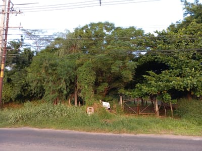 Vendo terreno de 10.205 m2 sobre autopista aeropuerto luque 
