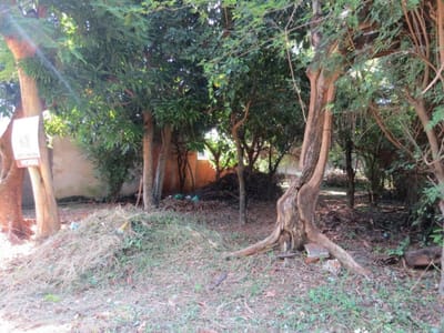 Venta de Terreno en Barrio Cerrado La Floresta – Oportunidad única en Luque
