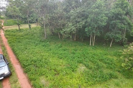 Terreno-Venta-calle paraguay, Itauguá, Central