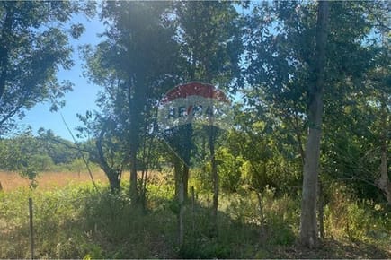 Terreno en San Bernardino