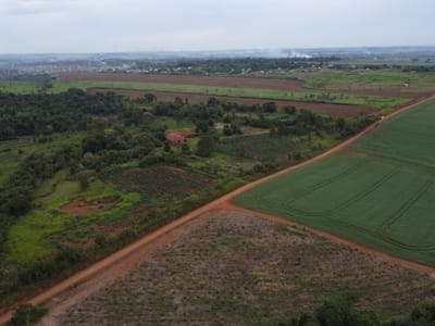 VENDO 40 HECTAREAS EN MINGA GUAZU KM 28