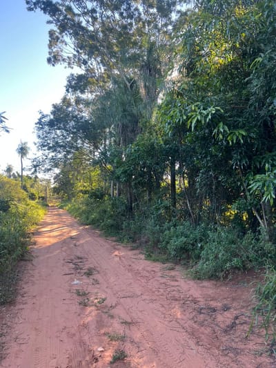 Terrenos en Venta en Itauguá | 12 Lotes Disponibles