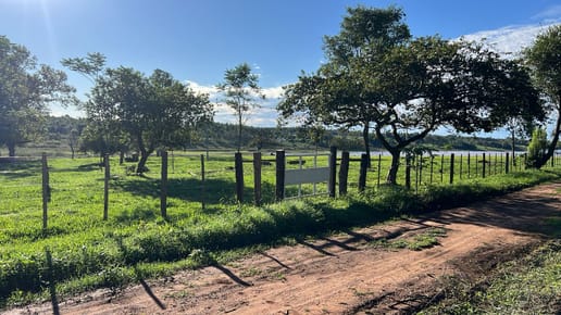 En Venta 2 Lotes En Juan E. Oleary - Alto Parana