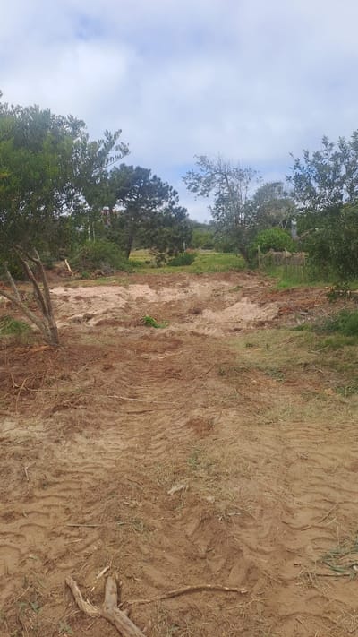 Selecto barrio de La Paloma - La Serena - Paz y Naturaleza