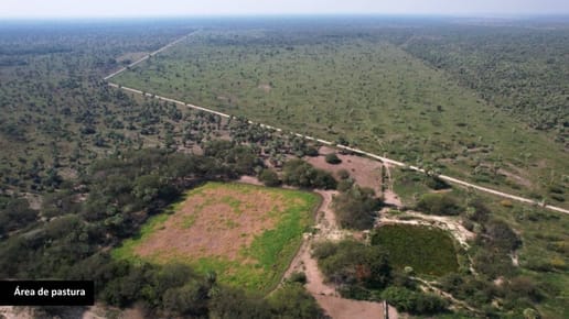 EN VENTA ESTANCIA PRODUCTIVA EN VILLA HAYES
