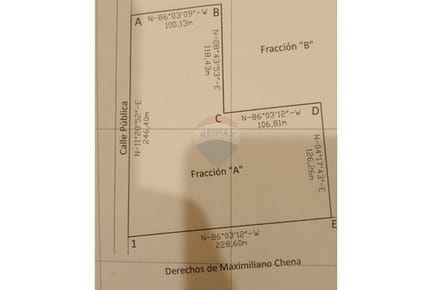 VENDO 4 HECTAREAS EN SAN BERNARDINO