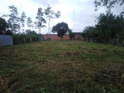 VENDO TERRENO EN PUCALLPA YARINACOCHA 