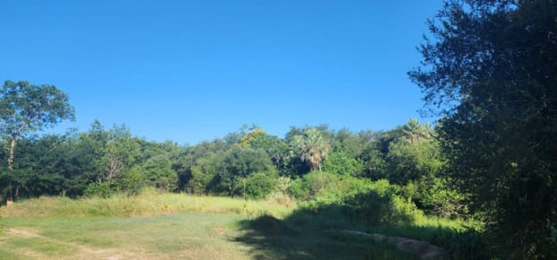 Terreno en venta – Urbanización Surubi' i