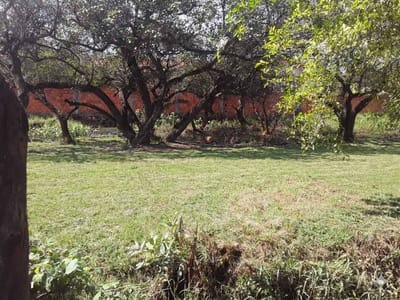 Terreno en venta – Barrio Yka’a, Luque