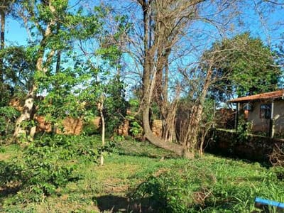VENDO TERRENO EN LOMA PYTA