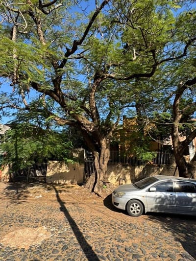 VENTA DE PROPIEDAD A REFACCIONAR O DEMOLER en SAJONIA