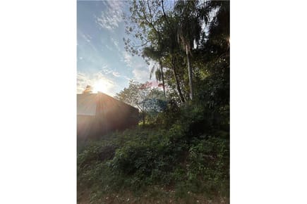 Amplio Terreno Residencial en Zona Tranquila – San Bernardino