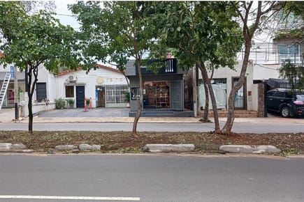 TERRENO SOBRE AV. SAN MARTIN