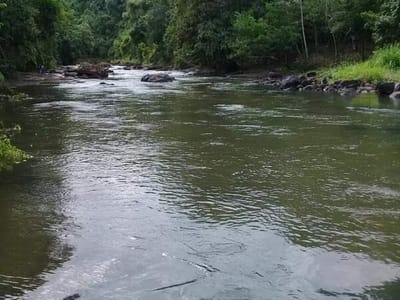 EN VENTA PROPIEDAD DE 41 HAS CON ARROYOS