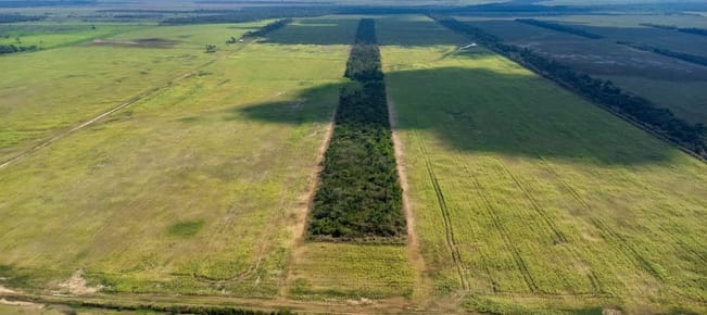 En Venta | Propiedad Agrícola en San Julian - Santa Cruz