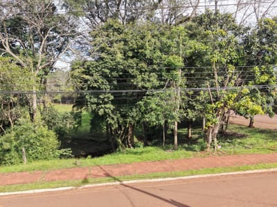 EN VENTA – TERRENO EN ESQUINA SOBRE AVDA. LOS FUNDADORES, HOHENAU