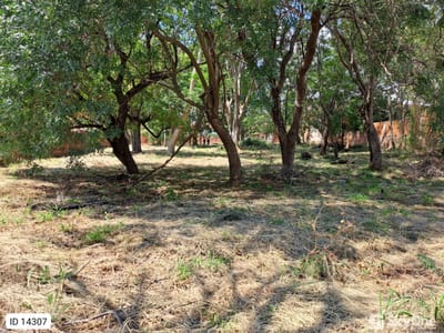 Terreno de 3.902 m² en Villa Elisa | Ideal para Desarrollo | USD 295.000