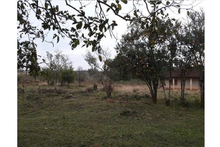 VENDO TERRENO EN CUIDAD DEL ESTE