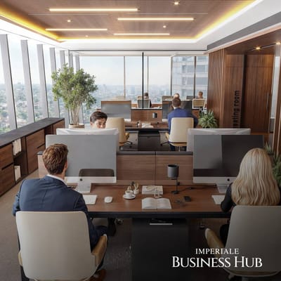 OFICINAS EN PETRA IMPERIALE BUSINESS HUB