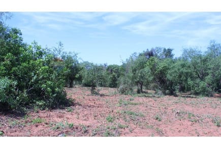 Casa de campo - Venta - Caacupé, Cordillera, Paraguay