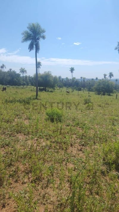 Venta de Propiedad Agrícola en Pirebebuy, Cordillera