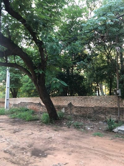 Terreno 833 m² zona estratégica | Sta. María