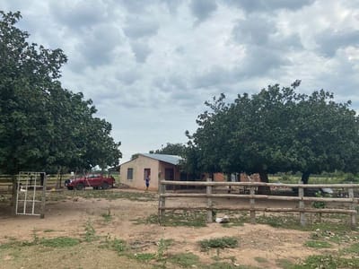 EN VENTA | PROPIEDAD RURAL EN PAURITO