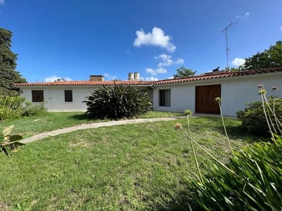 Venta Casa En La Floresta 